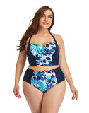 Paneled Floral High-Waist Plus Size Bikini Swimsuit